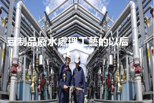 豆制品廢水處理工藝的以后：挑戰(zhàn)與突破？